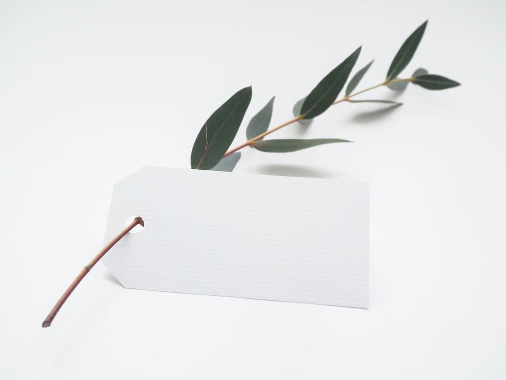 照片由 Helena Hertz 在 Unsplash 上拍摄