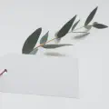 Chinese Test