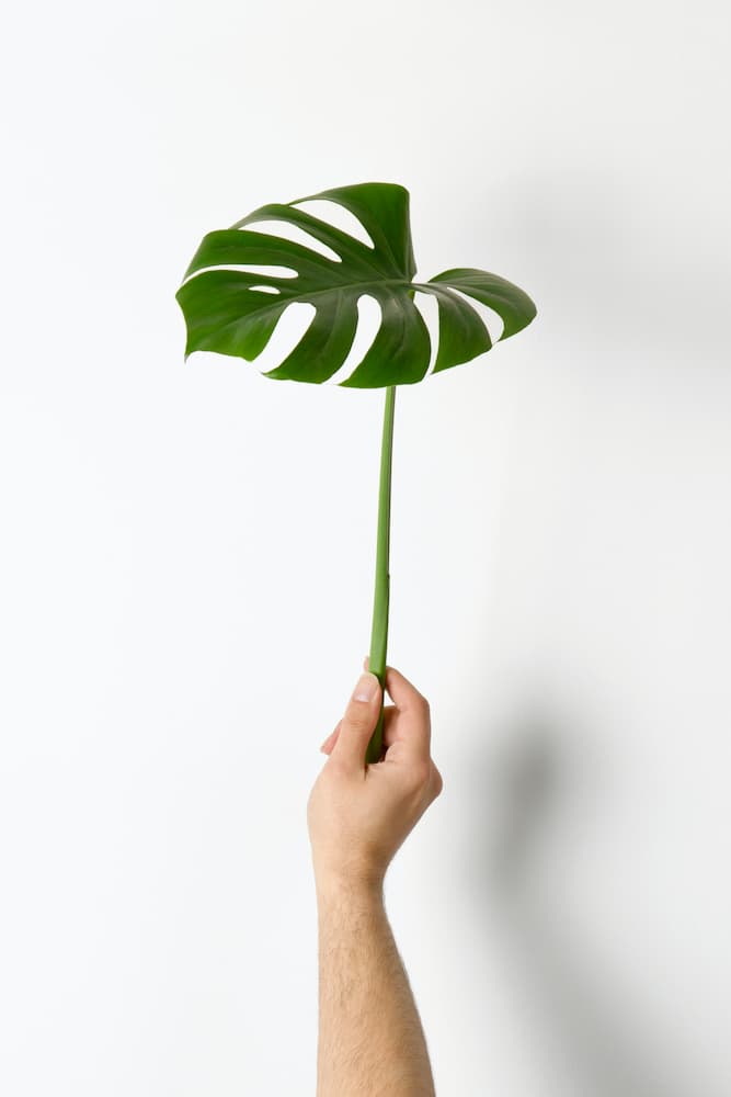 照片由 Hudai Gayiran 在 Unsplash 上拍摄